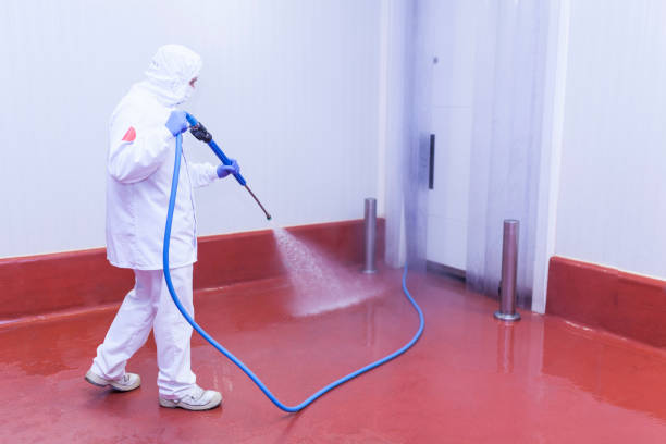 Best Pre-Holiday Cleaning  in Round Lake, IL